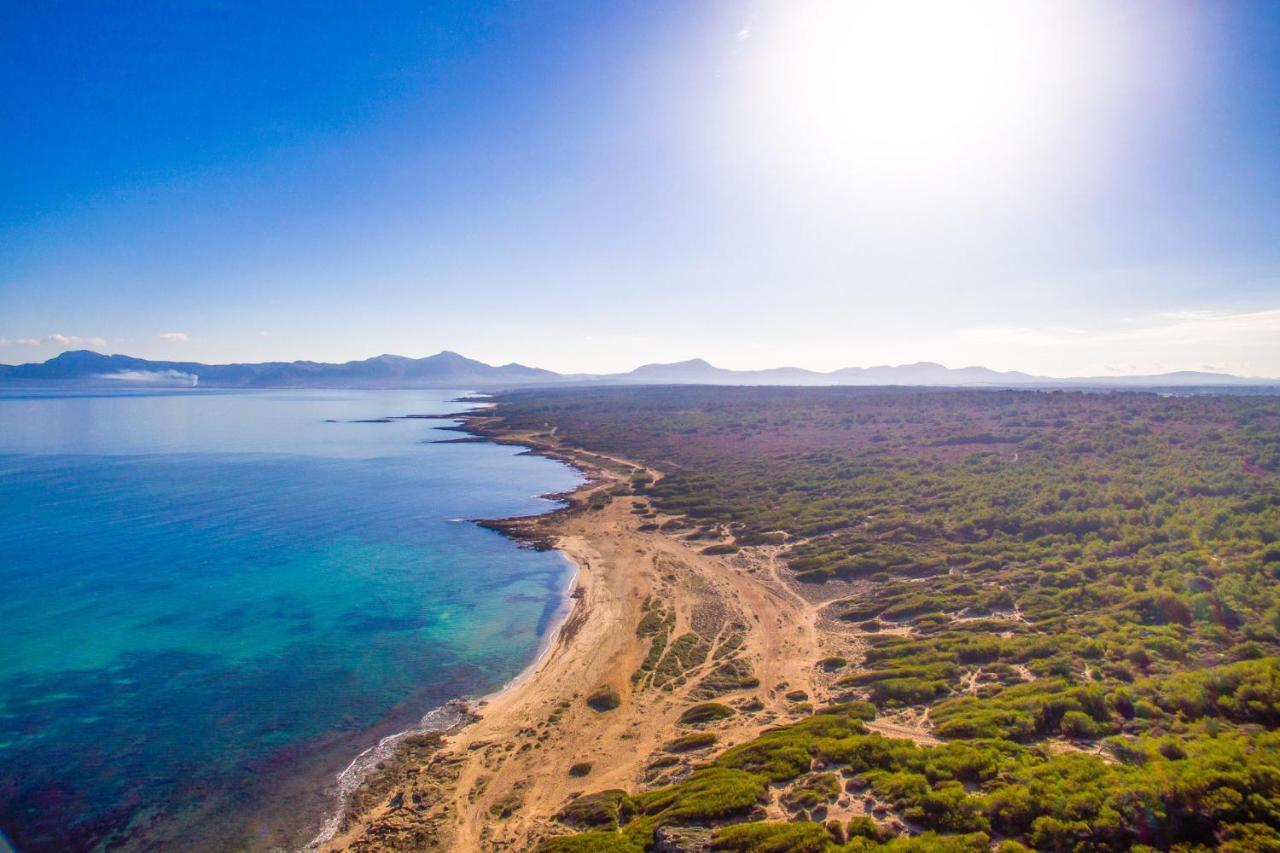 Ideal Mallorca - Gamundi